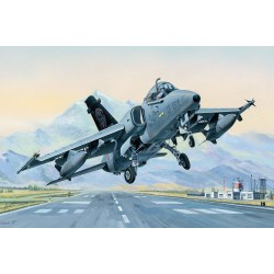 AMX Ground Attack Aircraft 