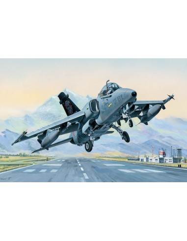AMX Ground Attack Aircraft 