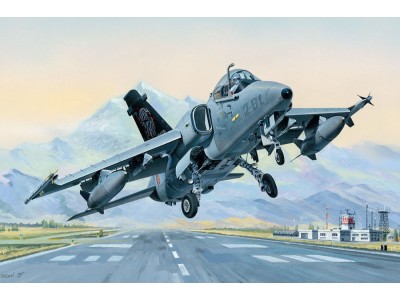 AMX Ground Attack Aircraft 