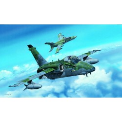 A-1A Ground Attack Aircraft 