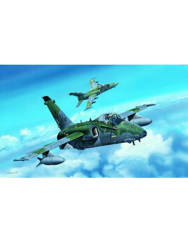 A-1A Ground Attack Aircraft 