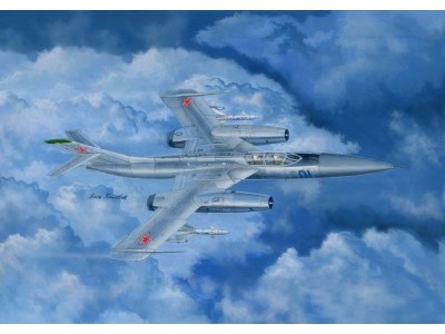 Russian Yak-28P Firebar 