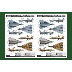 Persian Cat F-14A TomCat-IRIAF  2