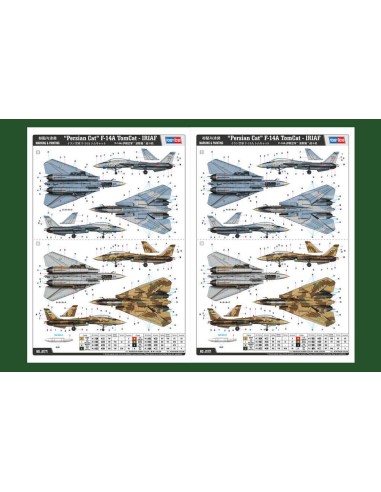 Persian Cat F-14A TomCat-IRIAF 