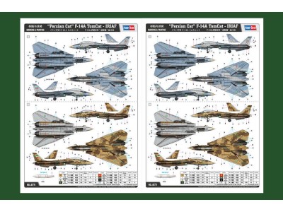 Persian Cat F-14A TomCat-IRIAF 