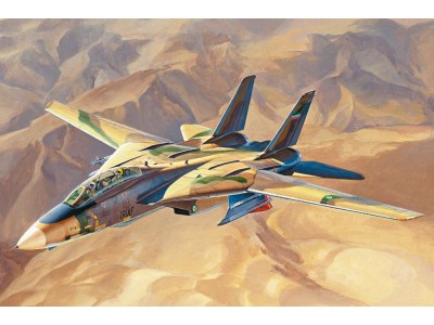 Persian Cat F-14A TomCat-IRIAF 