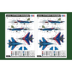 Su-27 Flanker B - Russian Knights Aerobatic Team  2