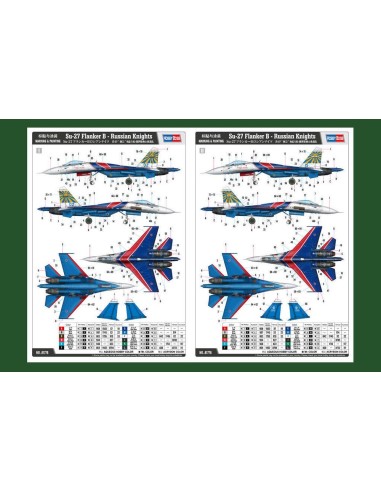 Su-27 Flanker B - Russian Knights Aerobatic Team 