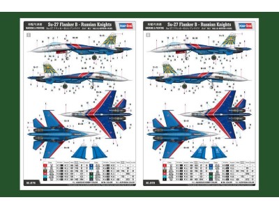 Su-27 Flanker B - Russian Knights Aerobatic Team 