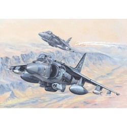 AV-8B Harrier II 