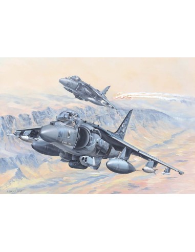 AV-8B Harrier II 