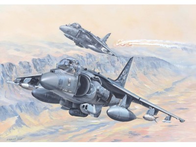 AV-8B Harrier II 