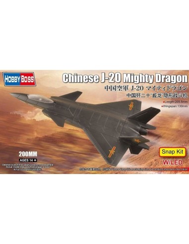 Chinese J-20 Mighty Dragon 