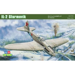 IL-2 Ground attack aircraft 