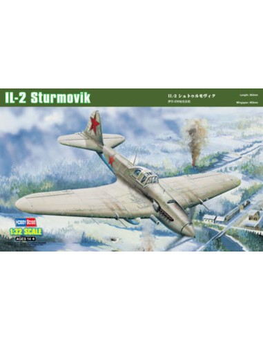IL-2 Ground attack aircraft 