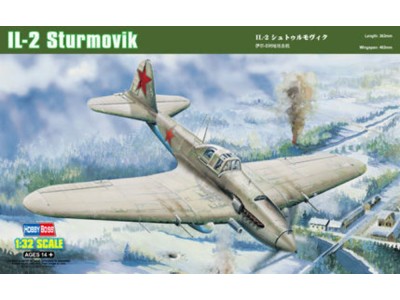 IL-2 Ground attack aircraft 