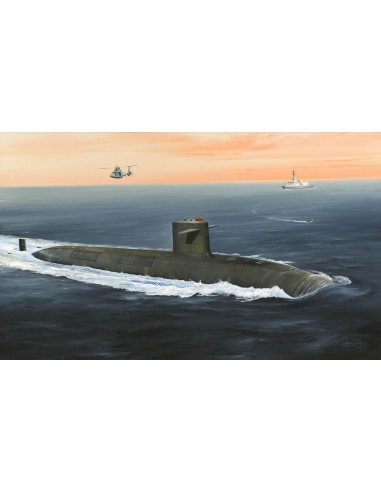 French Navy Le Triomphant SSBN 
