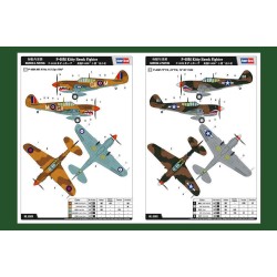 P-40E Kitty Hawk Fighter  2