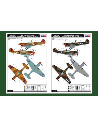 P-40E Kitty Hawk Fighter 