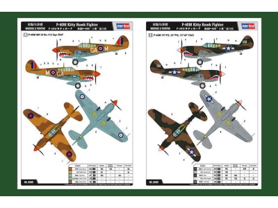 P-40E Kitty Hawk Fighter 