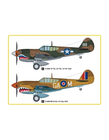 P-40E Kitty Hawk Fighter 