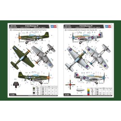 P-51D Mustang IV Fighter  2