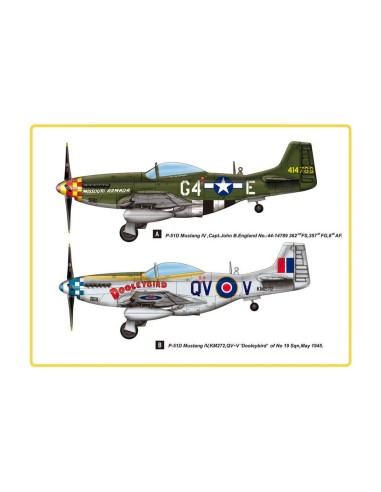 P-51D Mustang IV Fighter 