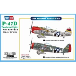 P-47D Thunderbolt Fighter 