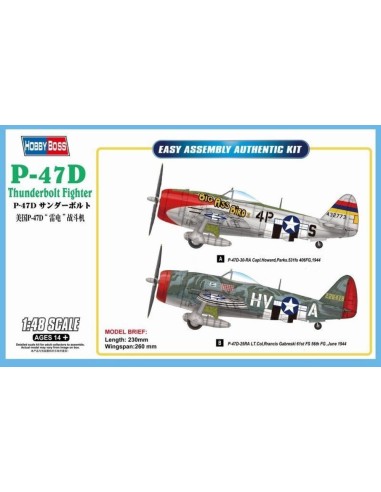 P-47D Thunderbolt Fighter 