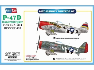 P-47D Thunderbolt Fighter 