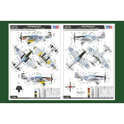 P-51D Mustang IV Fighter  2