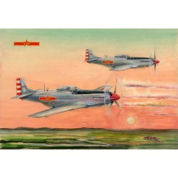 PLAAF P-51D/K Mustang Fighter 