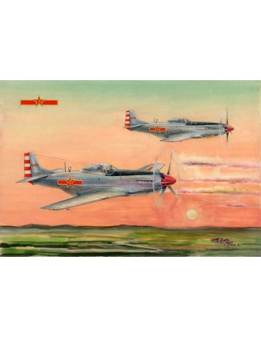 PLAAF P-51D/K Mustang Fighter 