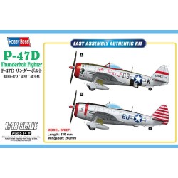 P-47D Thunderbolt Fighter 
