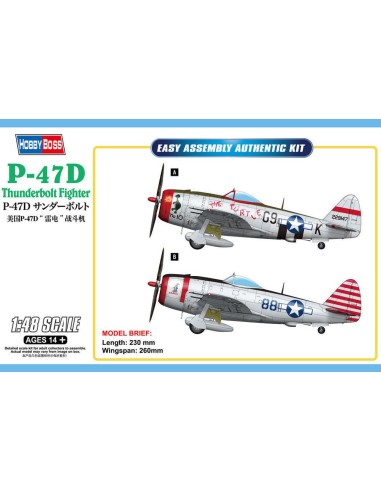 P-47D Thunderbolt Fighter 