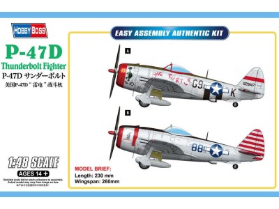 P-47D Thunderbolt Fighter 