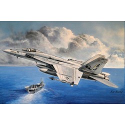 F/A-18E Super Hornet 