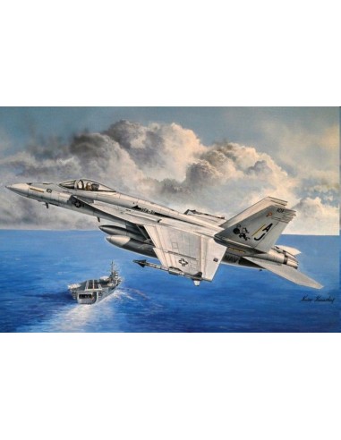 F/A-18E Super Hornet 