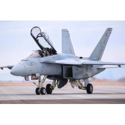 F/A-18F Super Hornet 