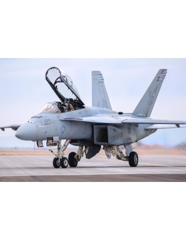 F/A-18F Super Hornet 