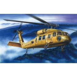 American UH-60A ''Blackhawk'' helicopter 