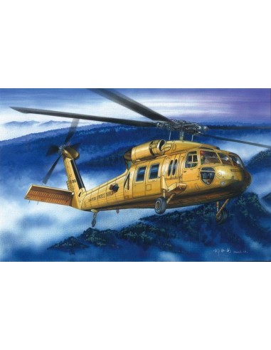 American UH-60A ''Blackhawk'' helicopter 