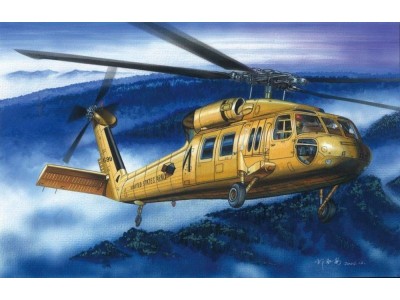 American UH-60A ''Blackhawk'' helicopter 