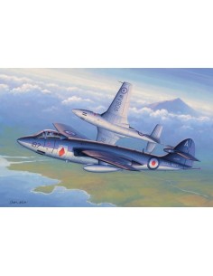 Seahawk FGA.6 