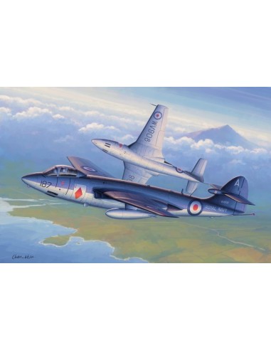Seahawk FGA.6 