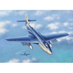 Seahawk MK.100/101 