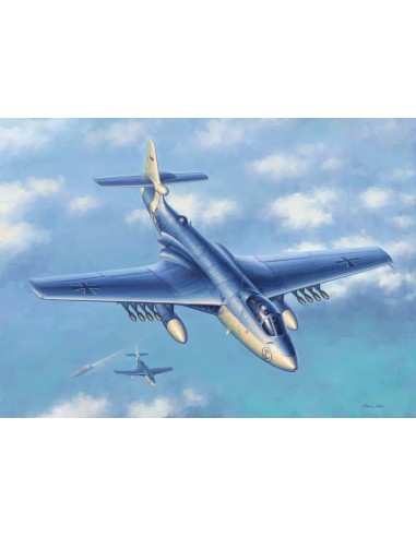 Seahawk MK.100/101 