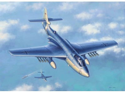 Seahawk MK.100/101 