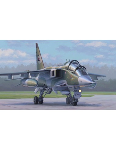 French Jaguar E 
