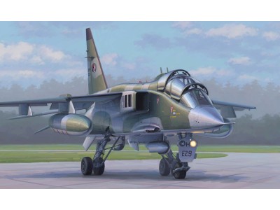 French Jaguar E 